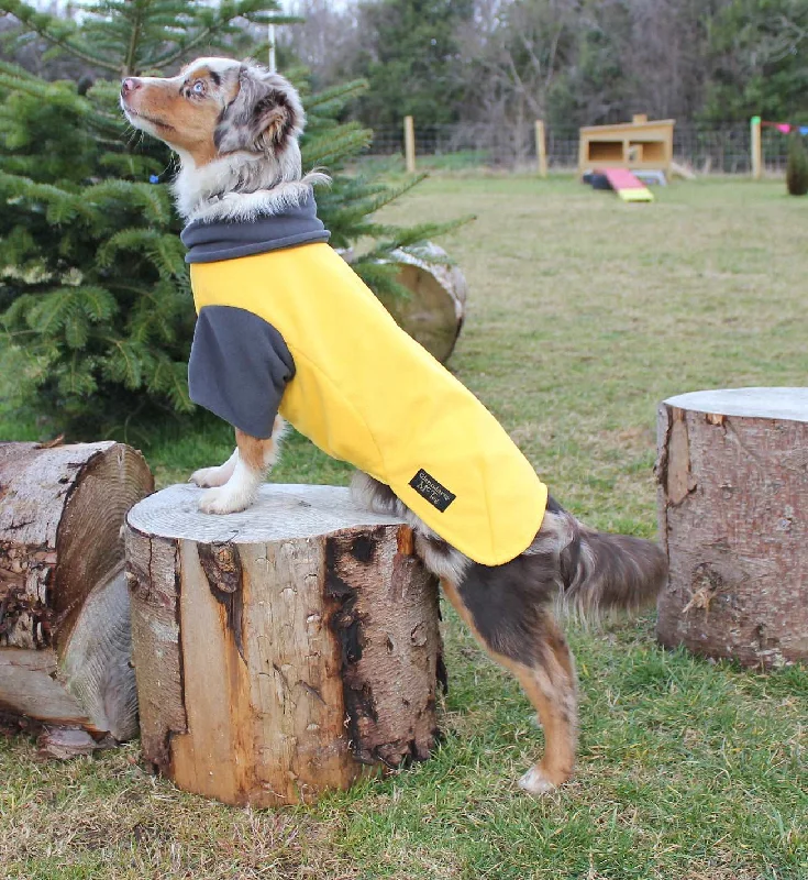 - Elderly dog ​​joint care mattressMidnight Sun Waterproof Microfleece McTog Dog Jumper - With Sleeves