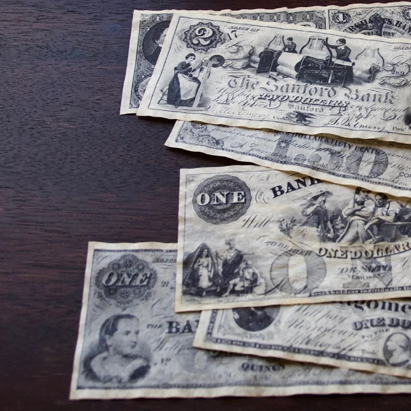 - Winter warm clothes for short-haired dogsHistoric Union Currency Replica