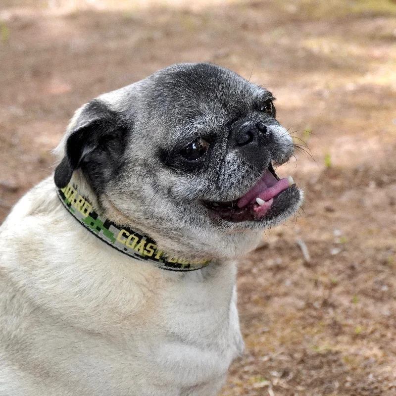  -Explosion-proof leash FOR LARGE dogsCoast Guard Dog Collar