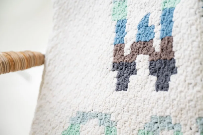 - Remote interactive pet feederStay Wild Ocean Child C2C Blanket (Crochet)