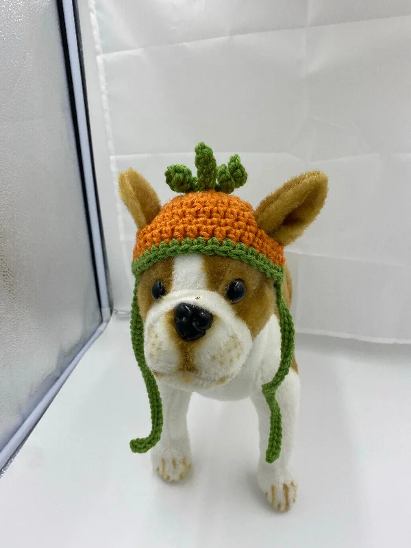 Pet walking leash setFall Pumpkin Dog Hat