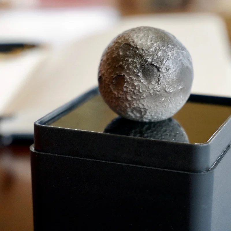 Pet ProductsLunar AR 3D Mini Model
