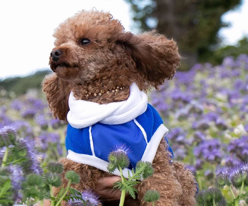  -Non-contact cat thermometerBlue Polar Fleece with Blue Waterproof tummy panel McTog dog Jumper - Only Sizes 4 Slim & 5 left