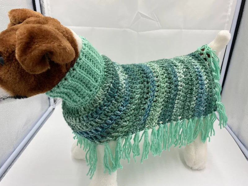 Pet birthday party clothesMint Green Dog Poncho