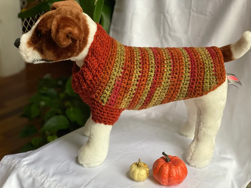 Pet lace clothesFall Collection Sweater