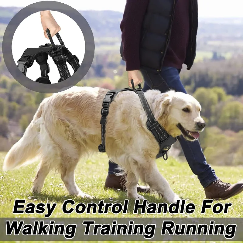 Anniepaw No Pull Dog Harness: Breathable Reflective for Outdoor Training Small to Large Dogs Anniepaw No Pull Dog Harness: Breathable Reflective for Outdoor Training Small to Large Dogs