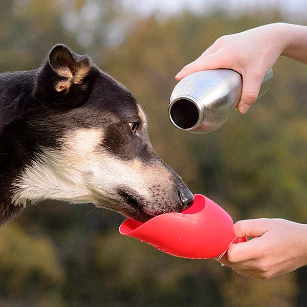 Pet ProductsKONG H20 Stainless Steel Bottle 740ML SAVE 30%
