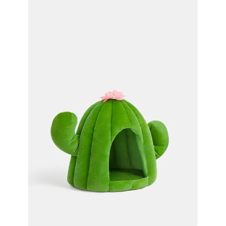 - Organic cotton dog bibsVetreska Oasis Cactus Pet Bed