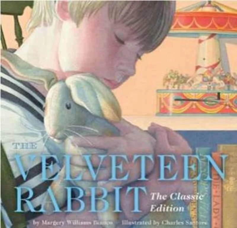 - Summer pet ice matThe Velveteen Rabbit Hardcover