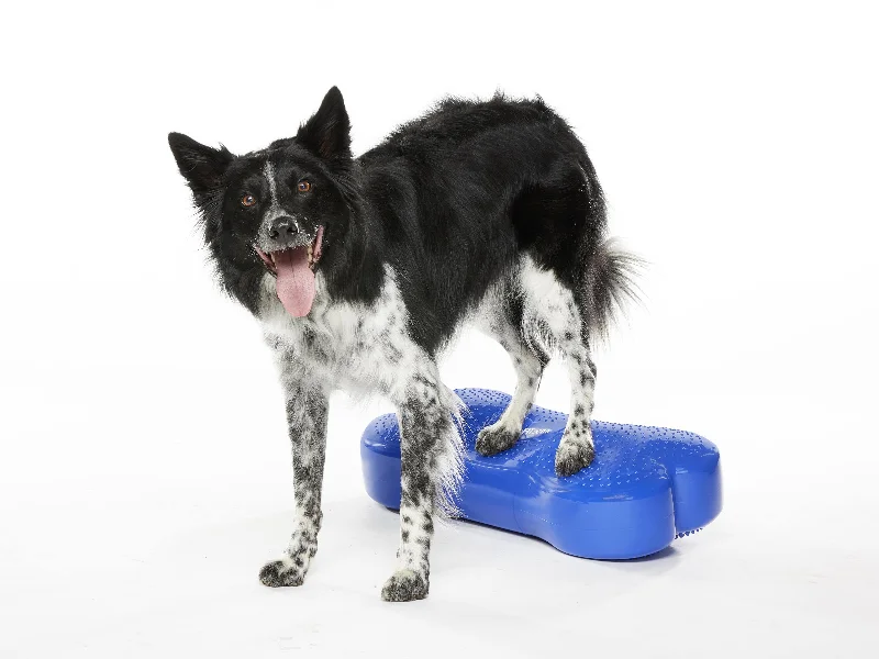 ---FitPaws Regular K9 FitBone