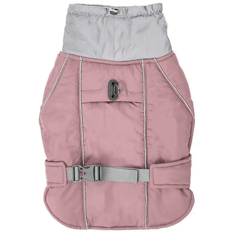 D PINK