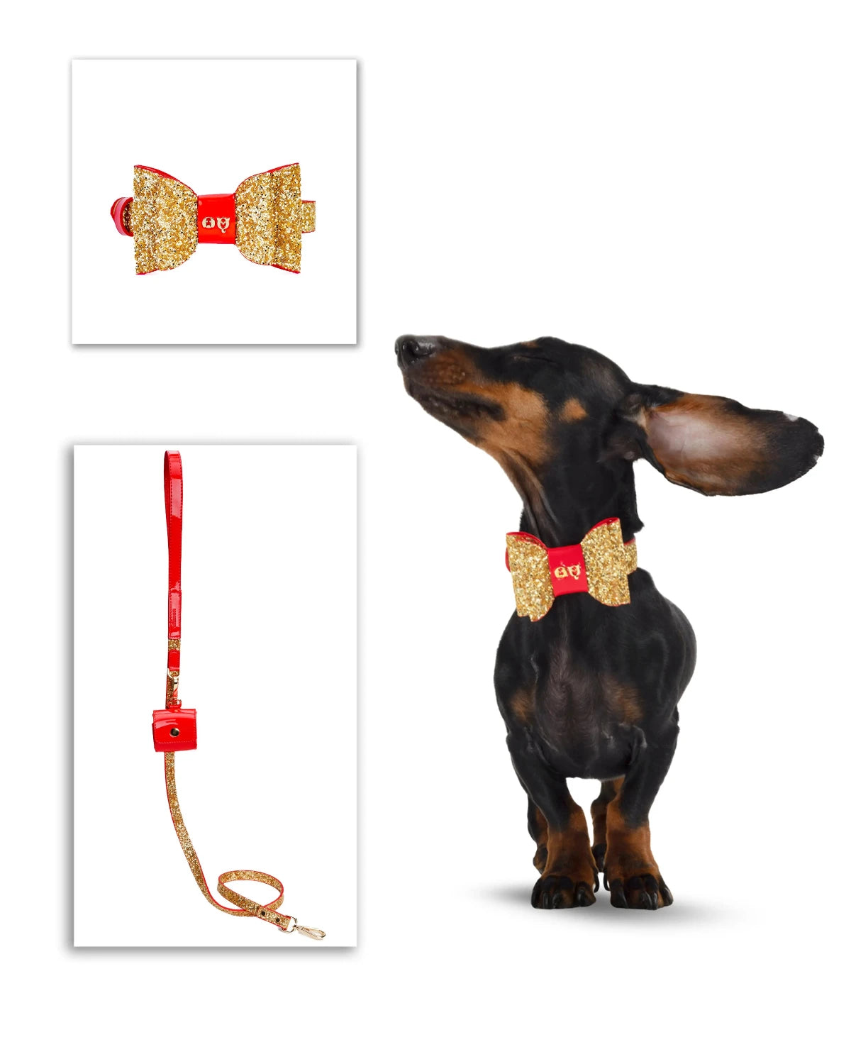 Glam Dog Collar & Leash