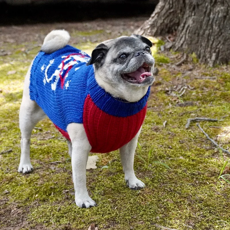 - Elderly dog ​​joint care mattressNASA Dog Sweater