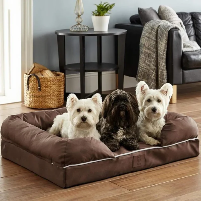  -Non-contact cat thermometerBunty Cosy Couch Mattress Dog Bed
