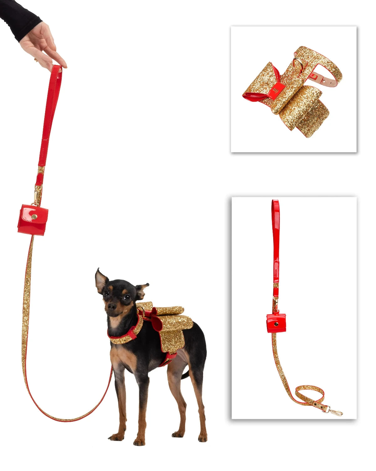 Glam Dog Bundle