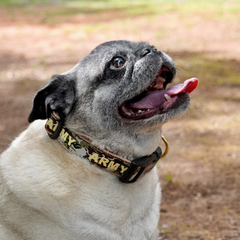 - Rabbit grass rack to prevent waste food boxArmy Dog Collar