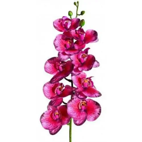 077