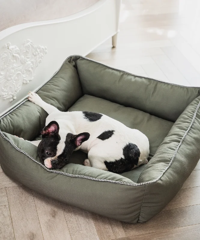 - Pet electric nail grinder silent modelThe Olive Lounger Dog Bed