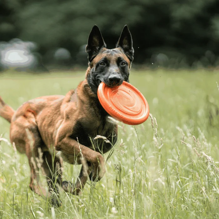 - Pet smart GPS locatorSprenger Flying Disc