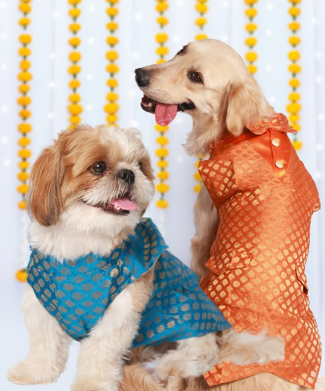 - Pet vitamin complex nutrition tabletsPack of 2 Dog Kurtas Bliss