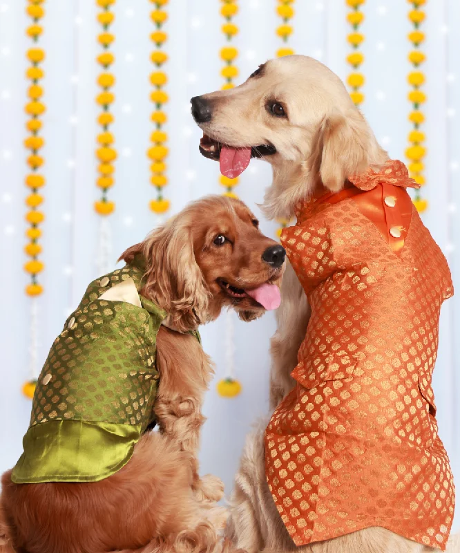 - Car dog seat beltPack of 2 Dog Kurtas OG