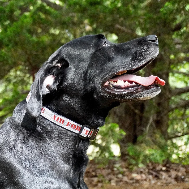  -Non-contact cat thermometerAir Force Dog Collar