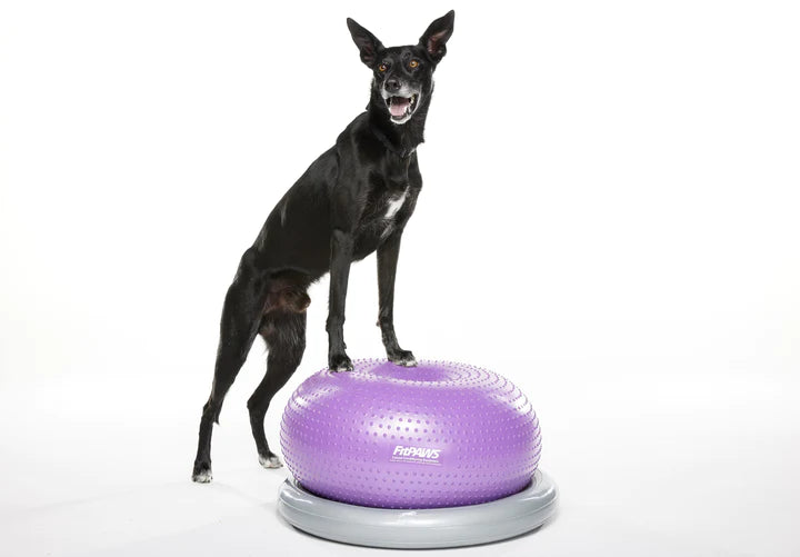 - ​​Pet toys under    yuanFitPaws Trax Donut