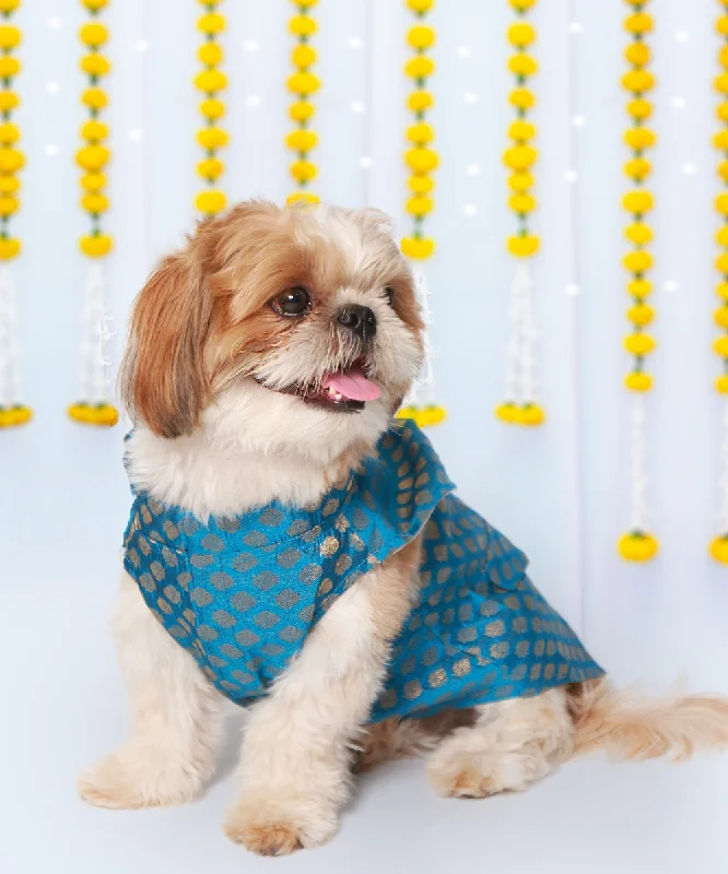 - Chinchilla cooling ice nest ceramic plateDog Kurta with Bowtie Blue