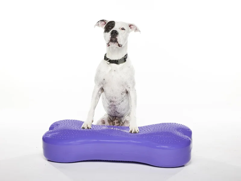 - Chinchilla cooling ice nest ceramic plateFitPaws Giant K9 FitBone