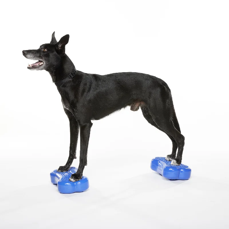 - Foldable and portable cat bagFitPaws Mini K9 FitBones