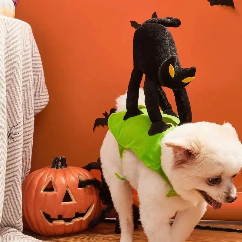 Anniepaw Halloween Black Cat Pet Costume: Funny Dress Up for Small to Medium Dogs and Cats for Holidays Anniepaw Halloween Black Cat Pet Costume: Funny Dress Up for Small to Medium Dogs and Cats for Holidays