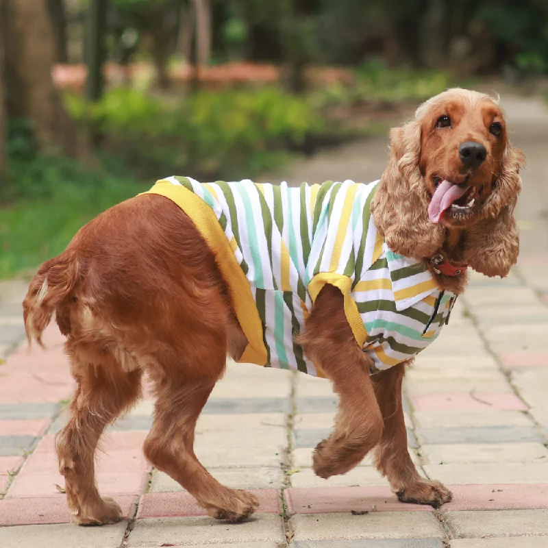 - Pet monitor with cameraMulti-colour Striped Dog Polo Tee