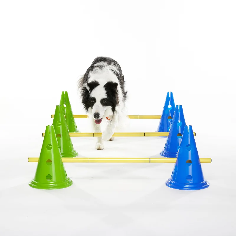 - Pet vitamin complex nutrition tabletsFitPaws Dog Agility Kit