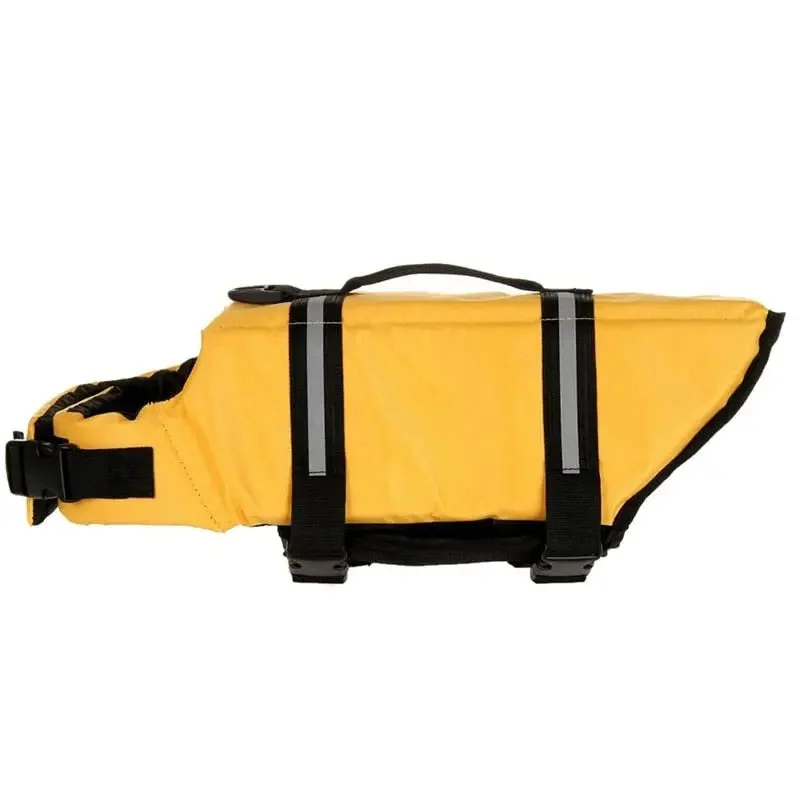 B Yellow