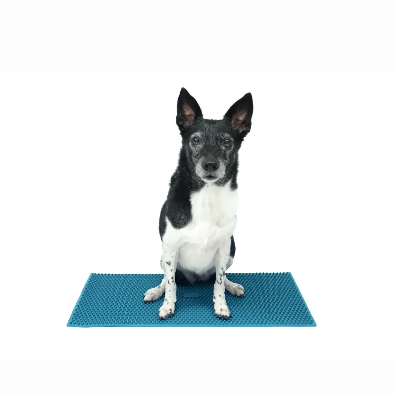 - Pet monitor with cameraFitPaws K9 FitMat