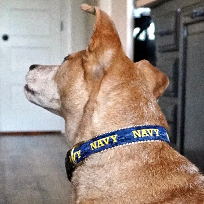 - Foldable and portable cat bagU.S. Navy Dog Collar