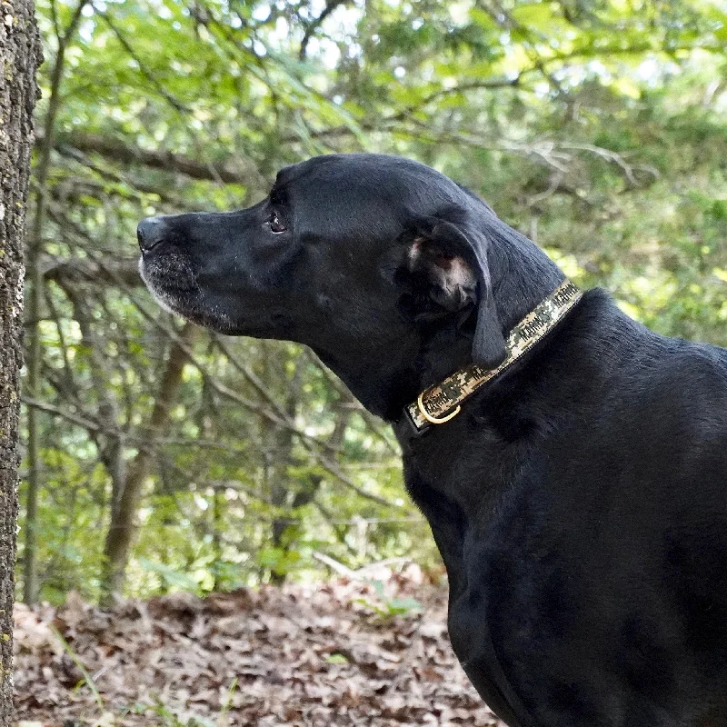 ---Marines Dog Collar