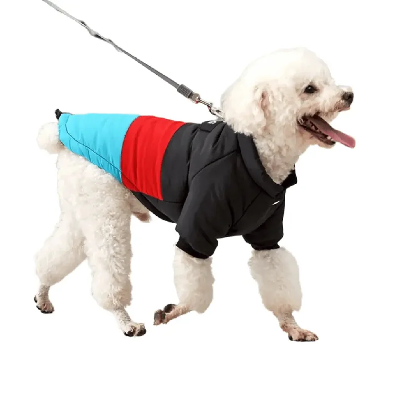 Anniepaw Winter Windproof Dog Down Jacket Color-Blocked Warm Coat for Small Dogs Chihuahua Clothing Anniepaw Winter Windproof Dog Down Jacket Color-Blocked Warm Coat for Small Dogs Chihuahua Clothing