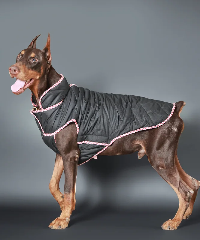 - Summer pet ice matDog Jacket-Black