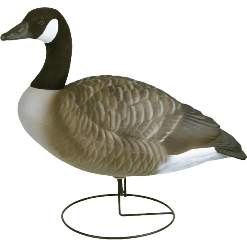- Parrot climbing and standing wooden frameFlambeau Field Pack Canada Goose Decoy 6PK - Parrot climbing and standing wooden frameFlambeau Field Pack Canada Goose Decoy 6PK